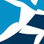 Boston Dynamics (Hyundai) logo